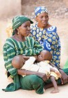Estate 2008 in Niger...