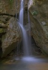 torrente2
