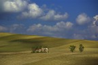 rural