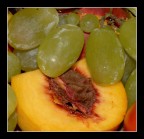 Frutta