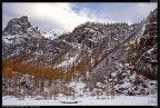 Prima Neve