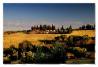 Terre Trasimene 8