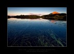 Underwater Field