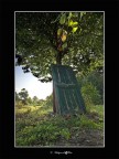 fantasy door