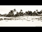Anakena Beach