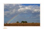 immagini dal salento...