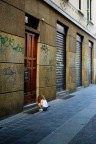 Graffitara