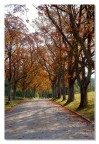 Prove d'autunno