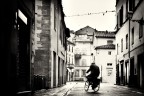 alba lucchese