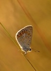 Sigma 180; 1/60; f/7.1, iso 100; manfrotto