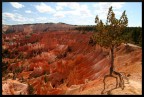Bryce Canyon (honeymoon in USA)