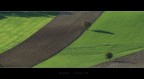 Contadini o Geometri?