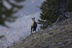 Ci siamo visti all'alba !