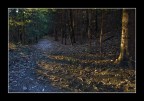 L'Ultima Luce