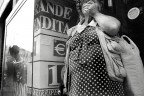 Signora