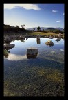 Peace's stones 4