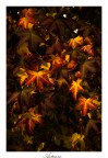 Autunno