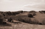 foto dell'acquedotto romano situato a Tarquinia in prossimit della necropoli etrusca.