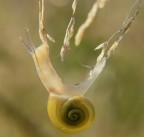 Strecccchhh Strecccchhh