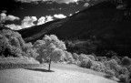 luce solare