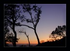 silhouette