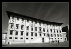 Pisa