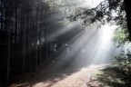 LUCE DEL MATTINO