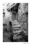 Agelli
