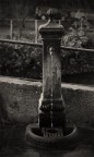 l'abbeveratoio in bianco e nero