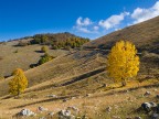 Dati di scatto:
Oly E510 - 14-42@14 1/320 f9 iso100 -0,3