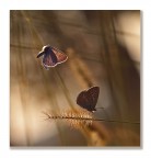 Breathe, breathe in the air... Breathe, breathe in the air...