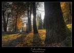 Colori d'Autunno