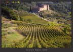 castello &amp; vigna