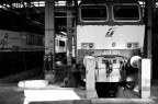 Manutenzione FS