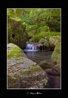 paradise water