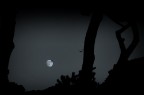 the moon