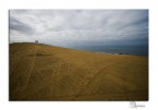 ...Contaminate dai segni dei pneumatici. 
Su queste dune (in Baja California) si fanno gare di cross. 
Pu essere divertente o essere un degrado ambientale...dipende dai punti di vista. ;)
