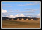 ...SWEET LAND...