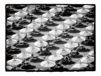 to M. C. Escher