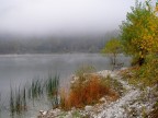 Colori