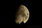 Magic moon