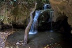 Nel bosco