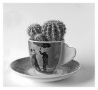 Caffe!