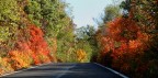 Colori