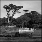 irlanda #2