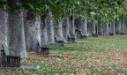 Autumn atto II