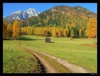 Sinfonia autunnale