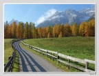 Colori d'autunno