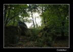 Controluce -4-