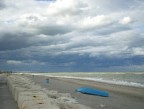 mare